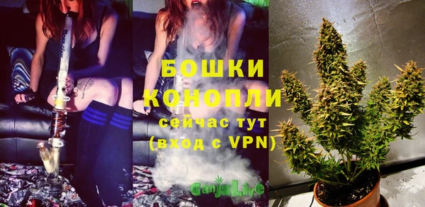 бошки Алзамай